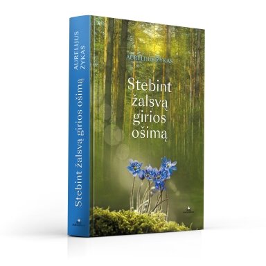 Stebint žalsvą girios ošimą (su defektu viršelyje)